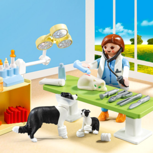 Playmobil City Life - Vet Visit Carry Case (5653)