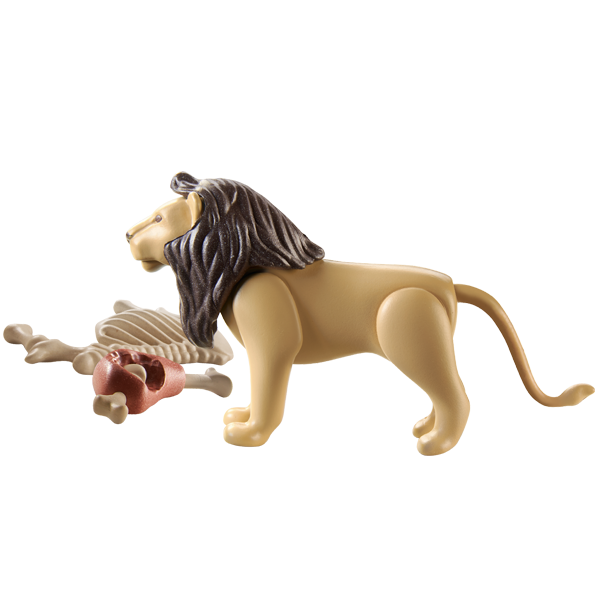 Playmobil Wiltopia - Lion (71054) - Image 4