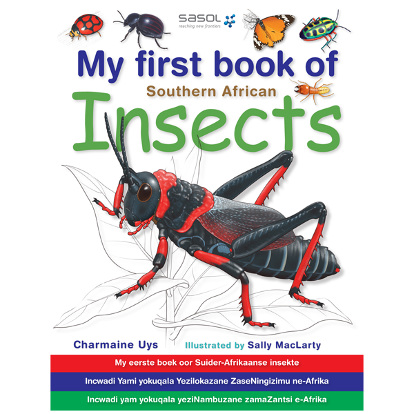 Struik Nature - My First Book of Southern African Insects